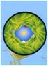 Logo Inpef